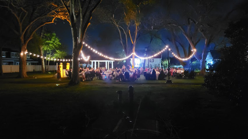 string-lights-attached-to-trees-lighting-guests-in-lawn-as-they-eat-dinner