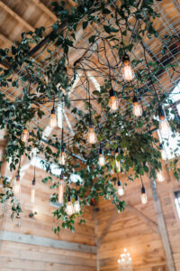 edison-bulb-13-drops-with-metal-frame-and-greenery